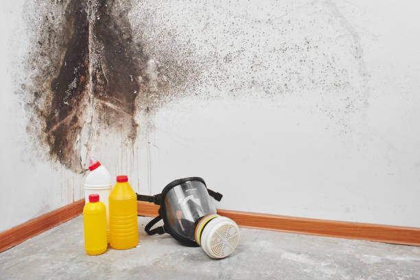 Best Residential Mold Removal  in Centerville, IA