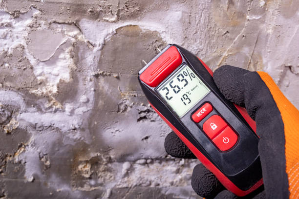 Best Toxic Mold Removal  in Centerville, IA