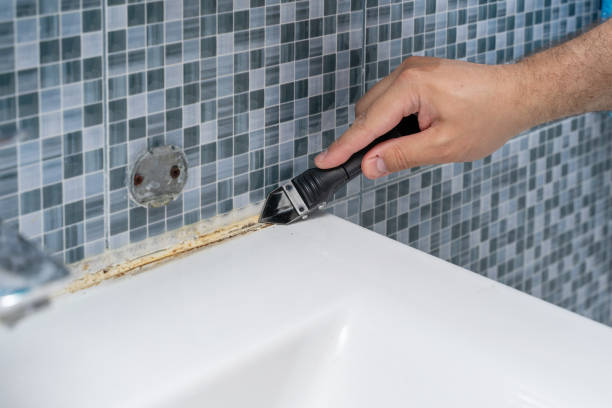 Best Professional Mold Removal  in Centerville, IA